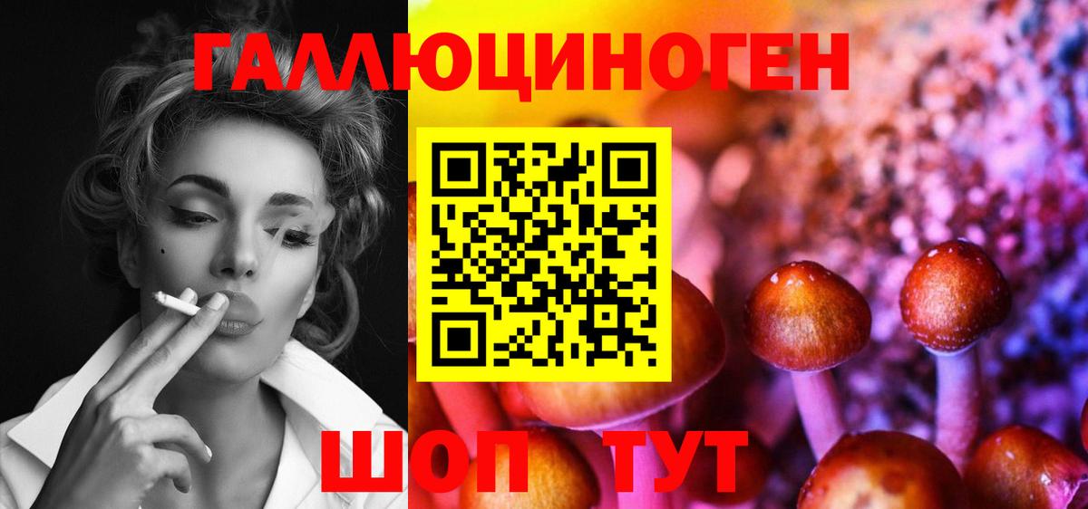 Псилоцибиновые грибы прущие грибы Артёмовский